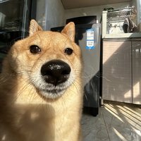 ふふ