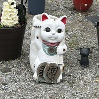 kogure